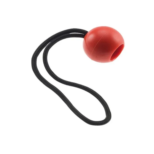 CAMP HERBOL RETRIEVAL BALL