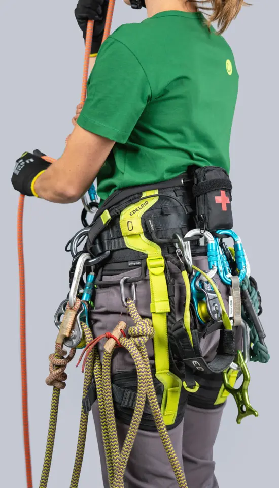 EDELRID TreeREX 2.0 Harness Size 1 - Image 6