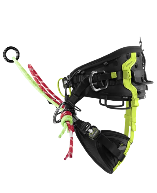 EDELRID TreeREX 2.0 Harness Size 1 - Image 3
