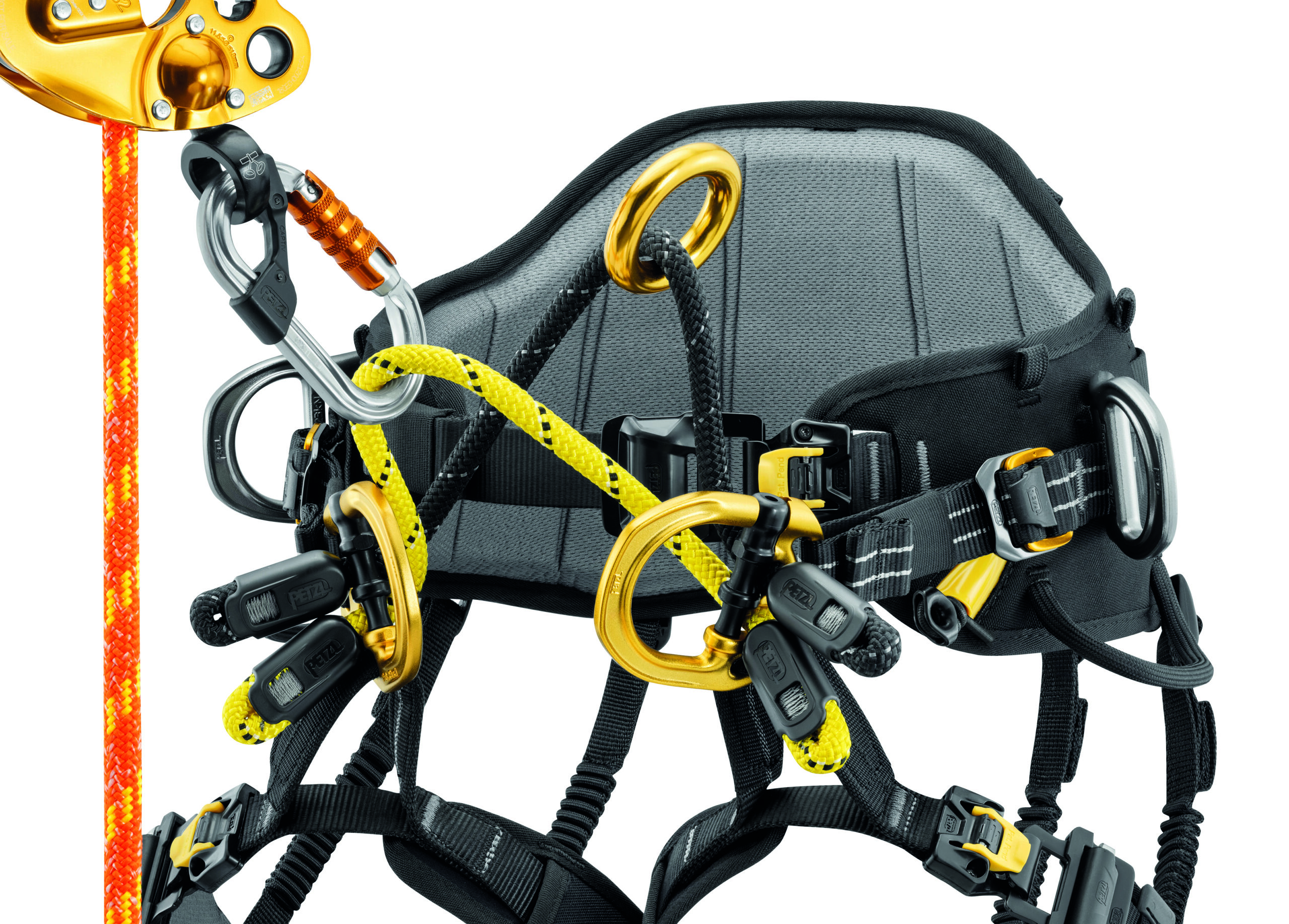 PETZL SEQUOIA PLUS HARNESS (NEW) - Image 3